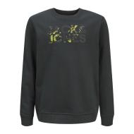 Sweat Vert Foncé Garçon Jack & Jones Splash pas cher