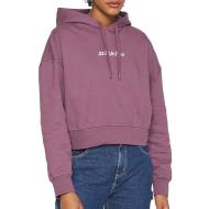 Sweat à capuche Violet Femme Dickies Loretto pas cher