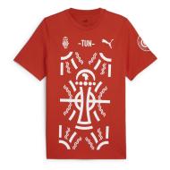 T-Shirt Rouge Homme Puma Afcon pas cher