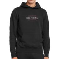 Sweat à Capuche Noir Homme Tommy Hilfiger 598