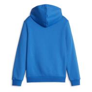 Sweat Bleu électrique Garçon Puma 586987 vue 2