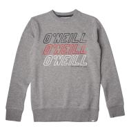 Sweat à Capuche Gris Garçon O'Neill All Year Crew pas cher