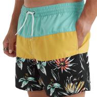Maillot de bain Turquoise Homme O'Neill Mix & Match Cali