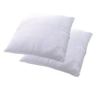 Lot de 2 Oreillers Dodo Pack Suite Deluxe 60x60 pas cher