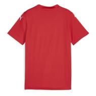 Maillot de football Rouge Garçon Puma Teamglory Jersey Jr vue 2