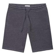 Short Gris Foncé Homme Teddy Smith Narky