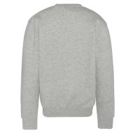 Sweat Gris Homme Schott Rdc Print vue 2