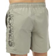 Short de bain Gris Homme Jack & Jones Haruba vue 2