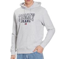 Sweat à Capuche Gris Homme Tommy Hilfiger Entry Graphi pas cher