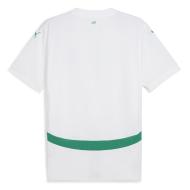 Sénégal Maillot Réplica Domicile Homme Puma 2025 vue 2