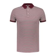 Polo Blanc/Bordeaux Homme Tommy Hilfiger 1985