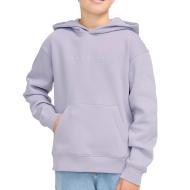 Sweat à Capuche Violet Garçon Languid