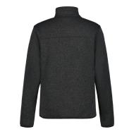 Veste Grise Homme Icepeak Adrianes vue 2