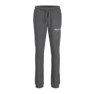 Jogging Gris Garçon Jack & Jones Vesterbro