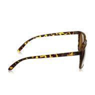 Lunettes de soleil Marron Homme Dc shoes Cousa vue 2