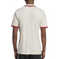 FC Bayern Maillot Authentique Third Homme Adidas 24/25 vue 2