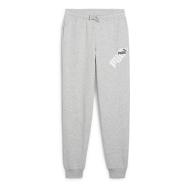 Jogging Gris Garçon Puma Graphic