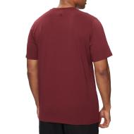 T-shirt Bordeaux Homme Adidas IS1301 vue 2