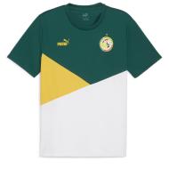 Sénégal Maillot Vert Homme Puma 2024 pas cher