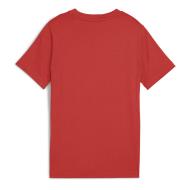 T-shirt Terracotta Garçon Puma Ess 2 Color vue 2