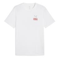 T-Shirt Blanc Homme Puma Road To Unity pas cher