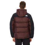 Doudoune Marron/Noire Homme The North Face Hmlyn vue 2