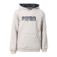 Sweat à Capuche Gris Garçon Puma Graf pas cher
