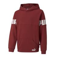 Sweat capuche Bordeau Garçon Puma Power pas cher
