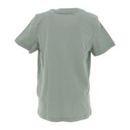 T-shirt Vert Bleuté Garçon Teddy Smith Evan vue 2