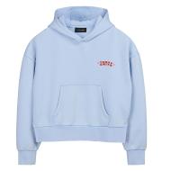 Pastellblauer Sweater für Jungen „Teddy Smith Hoody“ günstig