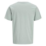T-Shirt Vert Pale Homme Jack & Jones Hurban vue 2