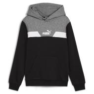 Sweat Noir/Gris Garçon Puma Hoodie pas cher