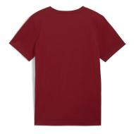 T-shirt Bordeaux Garçon Puma Ess+ 2 Col Logo vue 2