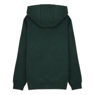 Sweat à Capuche Vert Foncé Garçon Teddy Smith Evry1 vue 2