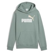 Sweat à Capuche Vert Garçon Puma Ess2 Color pas cher