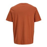 T-shirt Marron Garçon Jack & Jones Canggu vue 2
