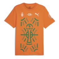 T-Shirt Orange Homme Puma Afcon pas cher