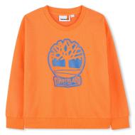 Orange/Blaues Sweatshirt für Jungen von Timberland T60444