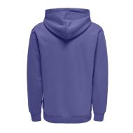 Sweat à Capuche Violet Homme Only & Sons Ceres vue 2