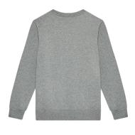 Sweat Gris Garçon Champion 305766 vue 2