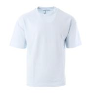T-shirt Bleu Clair Homme Paname Brothers Poly