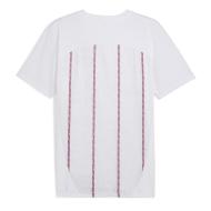 Manchester City Maillot Prématch Blanc Homme Puma 24/25 vue 2