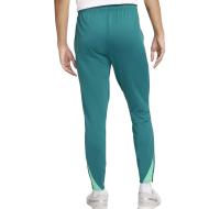 Portugal Jogging Bleu Homme Nike 2024 vue 2
