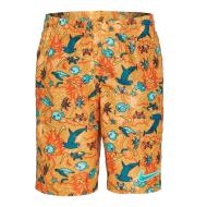 Short de bain Orange/Bleu Garçon Nike 6 Volley pas cher