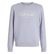 Sweat Mauve Garçon Jack & Jones Makoto