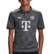 FC Bayern Adidas Boys' Grey Football Jersey 24/25 affordable
