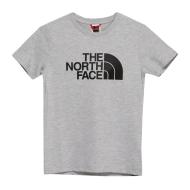 T-shirt Gris Garçon The North Face Teens pas cher