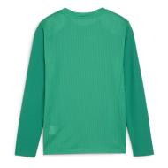 T-Shirt Vert Homme Puma Teamgoal vue 2