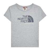 Camiseta gris para niño The North Face Graphic barato