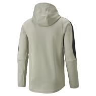Veste Zippé Grise Homme Puma Evostripe Warm vue 2